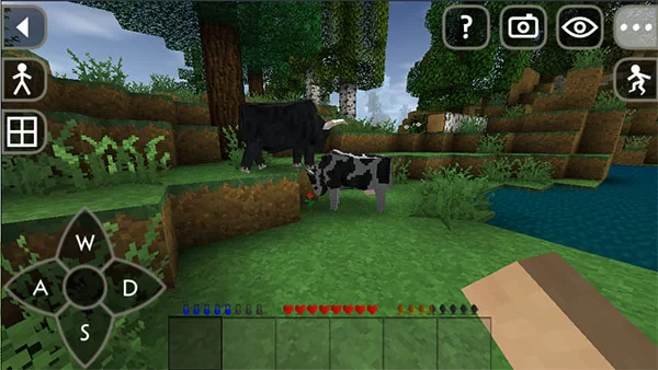 新手生存示范 新手生存示范