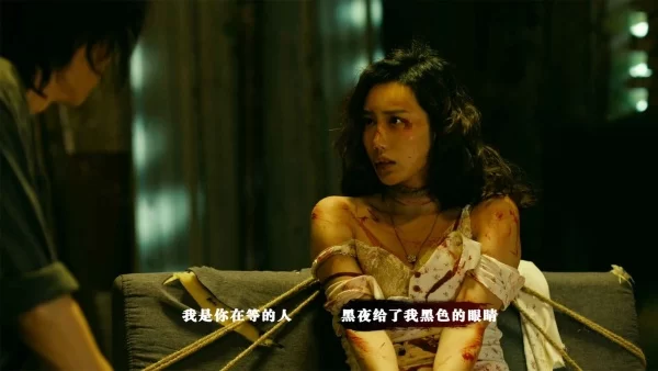 扫毒风暴宛北往事截图