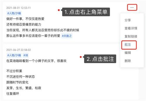 flomo笔记批注功能演示