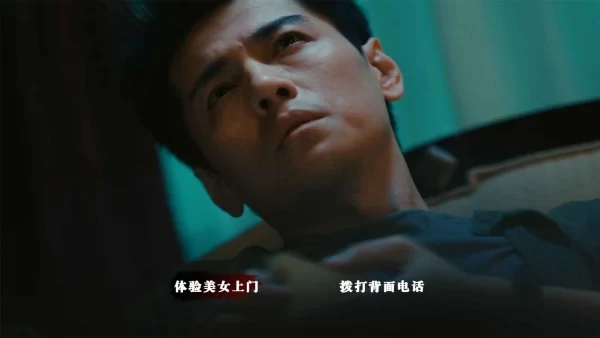 扫毒风暴宛北往事截图