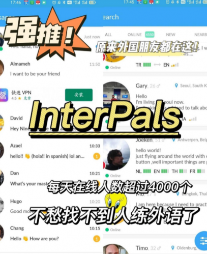 InterPals个人资料填写示例