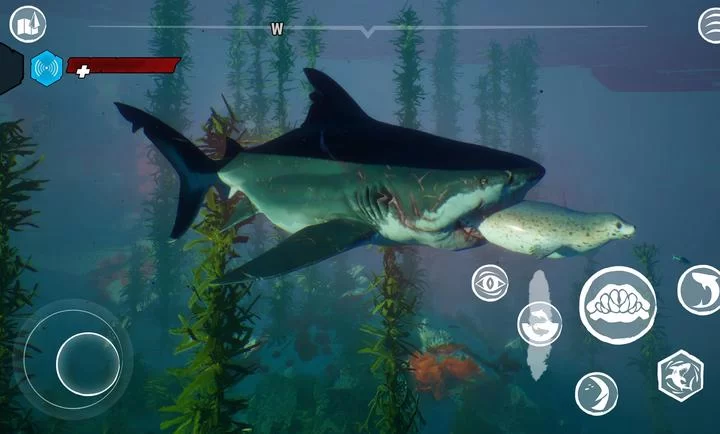 食人鲨破解版截图