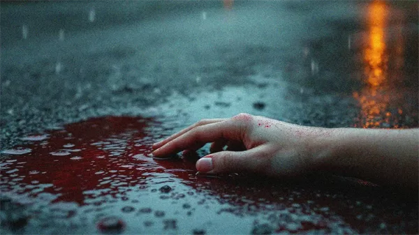 侦探雨夜手机版截图