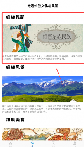 维语翻译APP文化探索界面