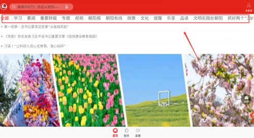 北京朝阳APP新闻阅读界面