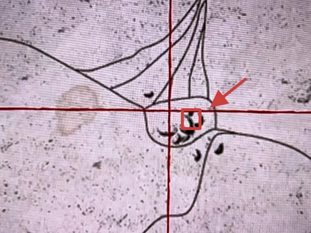 碧血狂杀1手机版游戏画面