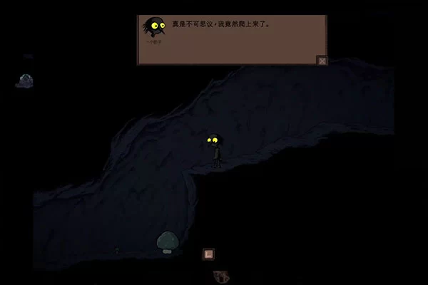 蘑菇种植生长过程