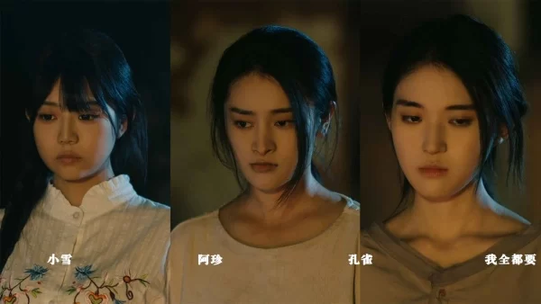 扫毒风暴宛北往事截图