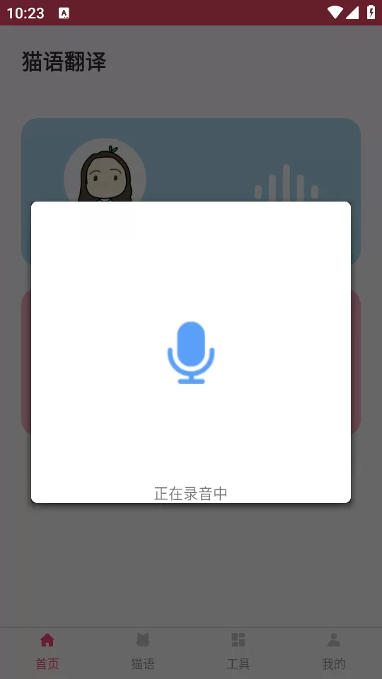 进行猫语翻译录音