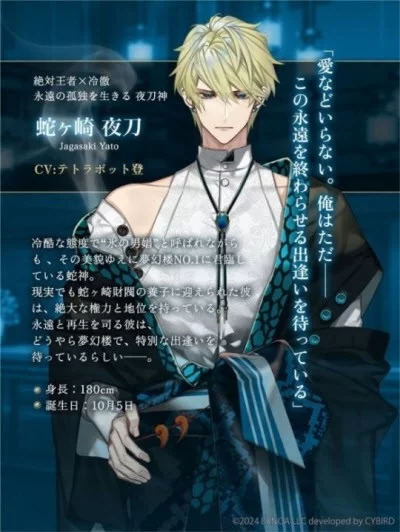蛇崎夜刀角色形象