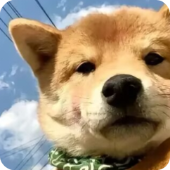 我的世界方可梦之旅MOD手机版下载