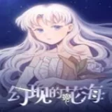 幻现的花海手机版