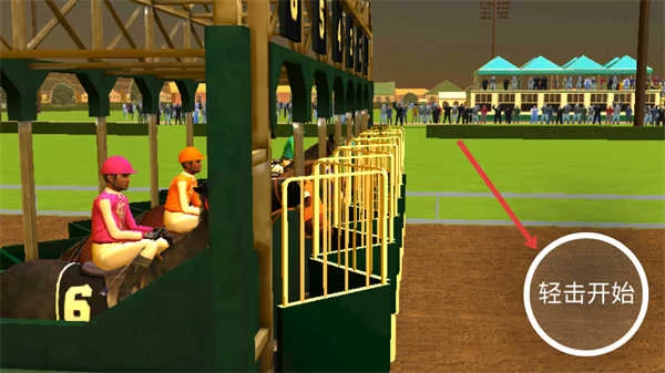 一位玩家正在游戏中进行马匹护理，界面显示梳理和喂养选项