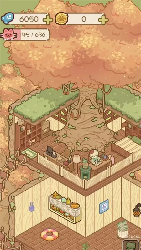 猫屋猫屎香最新手机版截图