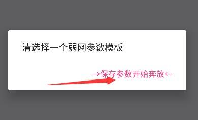 金砖弱网参数设置界面