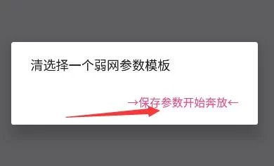 金砖弱网参数设置界面 金砖弱网参数设置界面