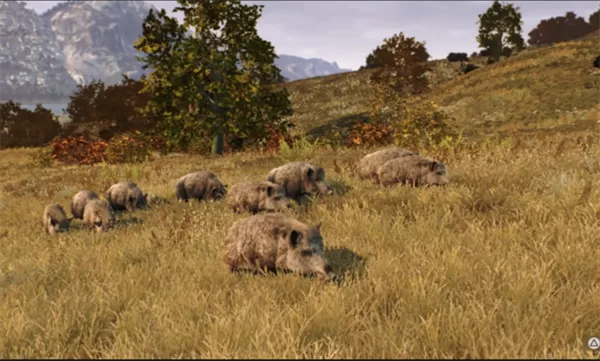 猎人之路狂野欧洲免谷歌全DLC版截图