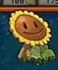 伪装的向日葵