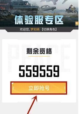 和平精英体验服免费版抢号界面