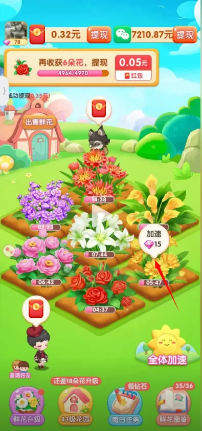 游戏主界面截图，展示了玩家丰收的玫瑰花田和清晰的功能图标