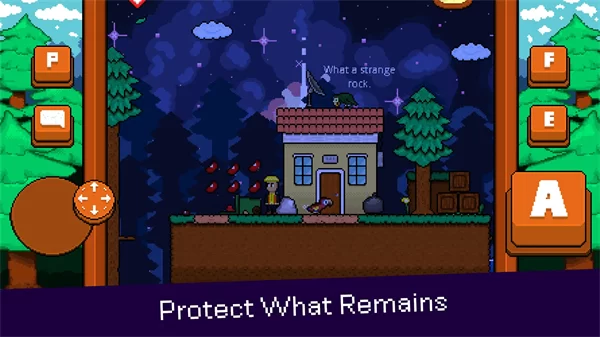 最后的金刚鹦鹉手机版截图