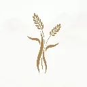 米禾阅读去广告版