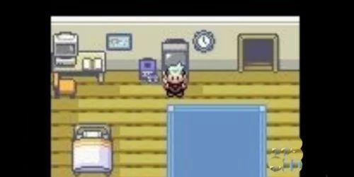 口袋妖怪究极绿宝石4Mega进化石