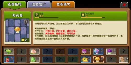 阳光菇成长对比