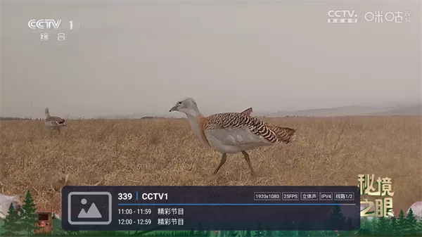 酷9TV直播最新版官方下载后主界面展示 酷9TV直播最新版官方下载后主界面展示