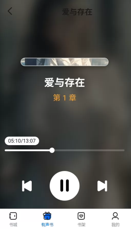 书鹿阁app播放控制展示