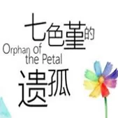 七色堇的遗孤手机版