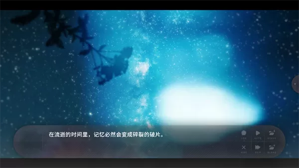 夏末花开剧情选择界面