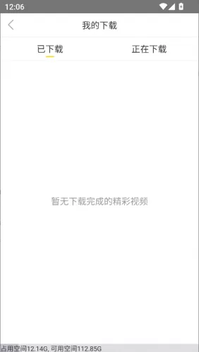 飞极速手机版下载管理界面 飞极速手机版下载管理界面
