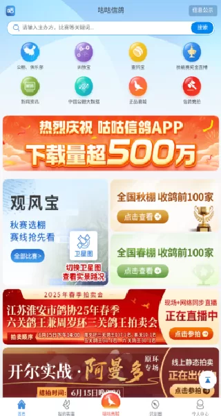 咕咕信鸽应用界面示意图