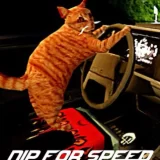 猫司机Nip For Speed恐怖游戏手机版