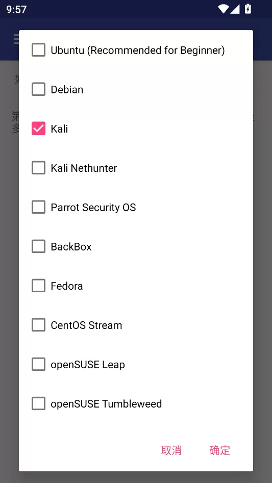 在AnLinux中选择Kali Linux 在AnLinux中选择Kali Linux