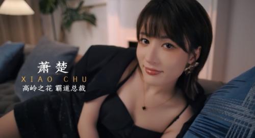 霸道总裁萧楚角色图