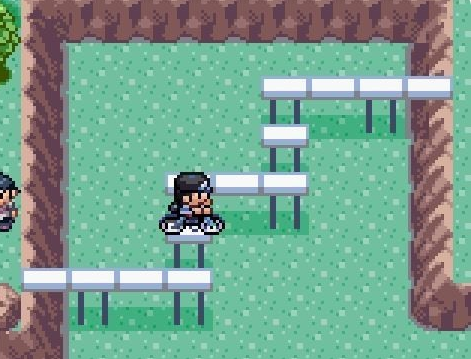 游戏中的自行车道具图示