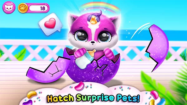 菲露茜斯宠物猫游戏截图