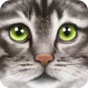 终极猫模拟器破解版