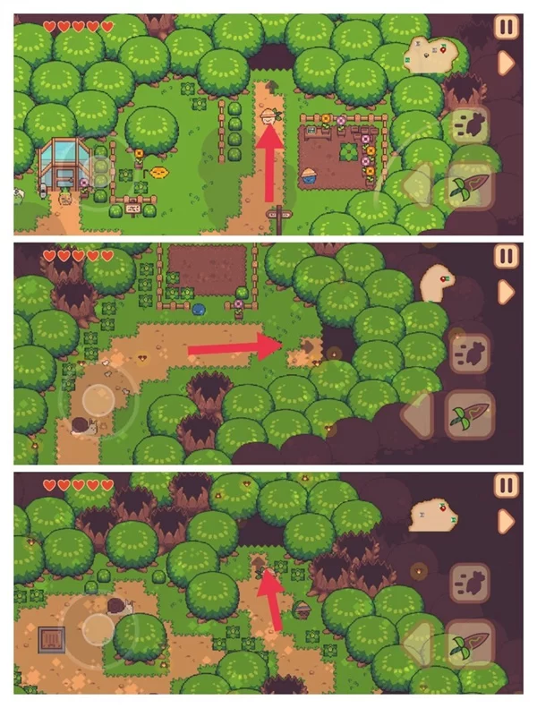 游戏攻略截图：浇灌并获得土剑