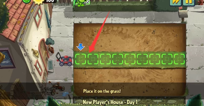 植物种植与阳光管理 植物种植与阳光管理