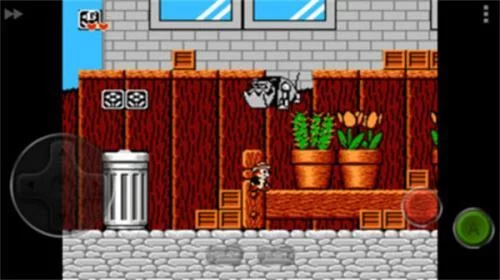 松鼠大战双人合作