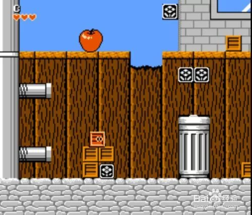 松鼠大战箱子隐藏