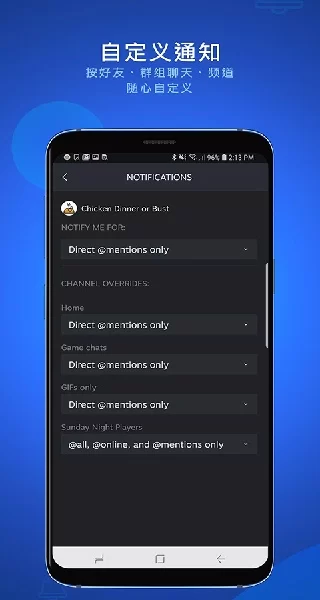 Steam Chat手机版主界面