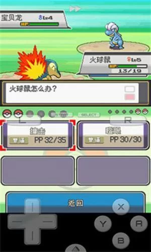 口袋妖怪魂银游戏封面