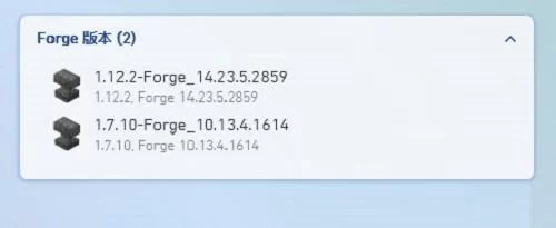 将模组文件放入MODS文件夹
