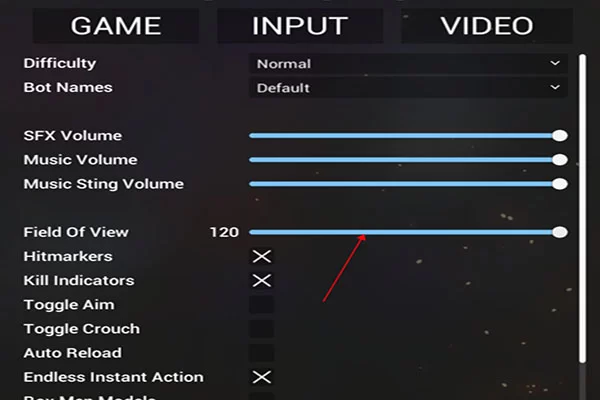 游戏设置界面截图，展示画面与控制选项